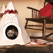 Szukasz domku dla kota? Może wybierzesz namiot?